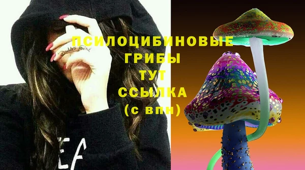 ECSTASY Арсеньев