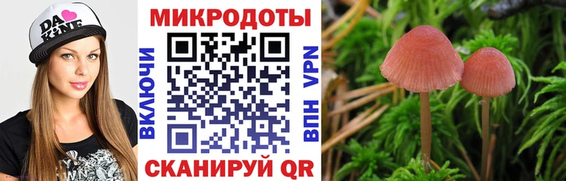 закладки  Бавлы  Псилоцибиновые грибы Psilocybine cubensis 