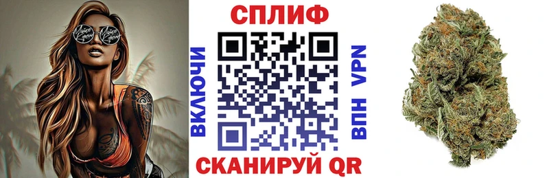 Бошки Шишки VHQ Бавлы